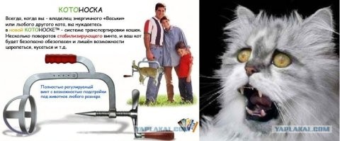 его сначала нужно всего навсего зафиксировать