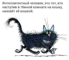 Мемы из соцсетей. Свежак за 28 января