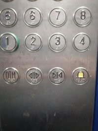 Драматические кадры из лифта: собака вырвалась из кабинки, а поводок остался внутри