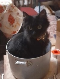 Не лукошко, конечно, но )))))