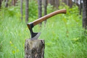 Немецкие экоактивисты пообещали больше не приклеивать себя к асфальту