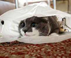 До атаки три... два... один...