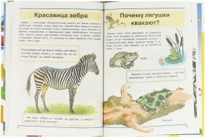 Я в школьные годы интересную книгу мог за день прочитать. А в этих  картинки на каждой странице,и шрифт крупный.Думаю,пару часов на книгу хватило бы.