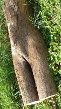 А что тут удивительного? У стула ноги деревянные, спина не гнется - словом, танцор так себе. И все же стул занял третье с конца место. На предпоследнем был партнер стула, а на последнем несостоявшаяся партнерша.