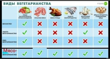 "Из мясного в рационе - только заусенцы": в соцсетях затроллили семью вегетарианцев