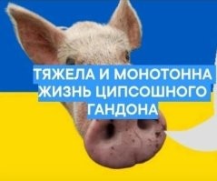 "Слово бабули. Месть за рассаду": Бабули из "Отряда Путина" добрались до "Слова пацана"