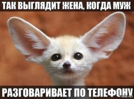 Мемы из соцсетей. Свежак за 31 января