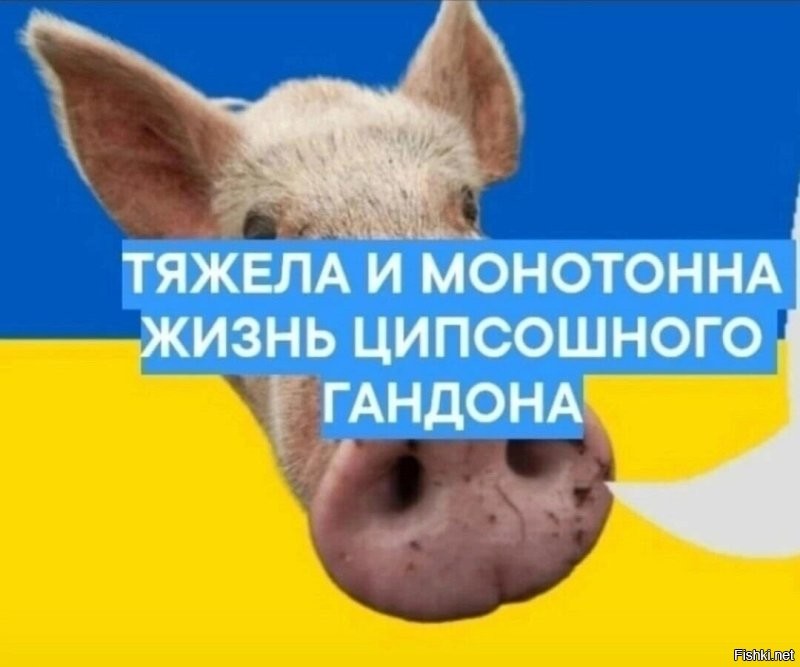 "Слово бабули. Месть за рассаду": Бабули из "Отряда Путина" добрались до "Слова пацана"