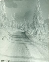 Фото №5 Довелось мне в командировке, ночью ехать по такой дороге в Якутии. Освещение от фар автомобиля (ЗиЛ-133ГЯС) было конечно хуже, поэтому мне казалось- То чудовища надо мной, то дракон, то лошадь нависла над дорогой! И не поймёшь, то ли наяву, то ли во сне! Вот дневное фото (качество не очень, снимок начала 80-х):