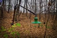 Какая хорошая краска. Столько лет прошло, а она даже не выцвела.