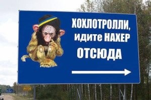 «Нива» 2009 года и автомобильный прицеп «Скиф»: ЦИК опубликовала декларацию Владимира Путина о доходах и имуществе