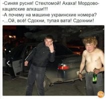 «Нива» 2009 года и автомобильный прицеп «Скиф»: ЦИК опубликовала декларацию Владимира Путина о доходах и имуществе