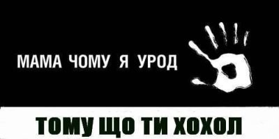«Нива» 2009 года и автомобильный прицеп «Скиф»: ЦИК опубликовала декларацию Владимира Путина о доходах и имуществе