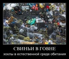 «Нива» 2009 года и автомобильный прицеп «Скиф»: ЦИК опубликовала декларацию Владимира Путина о доходах и имуществе