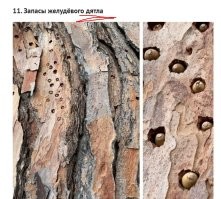 эээээ .. какие дятлы)))) .. которые читать не умеют?