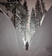 Выйдешь из дома утречком разомнешься....говорили они, снежок побросаешь.....говорили они.