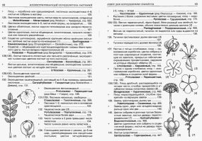 пфф
11 из 12)
А вы попробуйте по с определителем поработайте, вот уж где аналитика