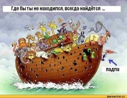 Желудёвый дятел: птичка-трипофиличка на максималках