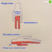 От тревожности нужно избавляться, пока она внизу. Именно поэтому пописать перед сном - хорошая идея.