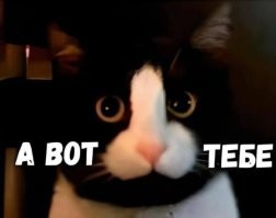 «Народ наш русский - он с добрым сердцем»: продюсер Игорь Матвиенко заявил, что если уехавшие звёзды извинятся, то их примут на родине