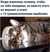 Скрины из соцсетей&nbsp;