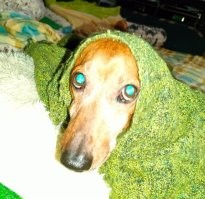 С добрым утром