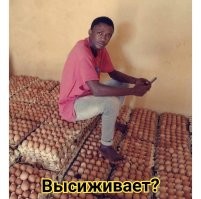 На общую тему &nbsp;