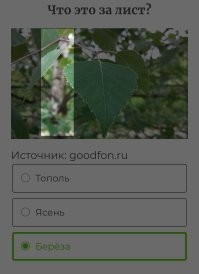 Ботанический тест для тех, кто хорошо разбирается в листьях растений