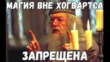 "Необъяснимо, но факт": загадка с котом