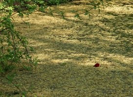 Любимые места, часто там бывал, сотни фотографий... 

Новоспасский, осень... Фото кликабельно для полного размера.