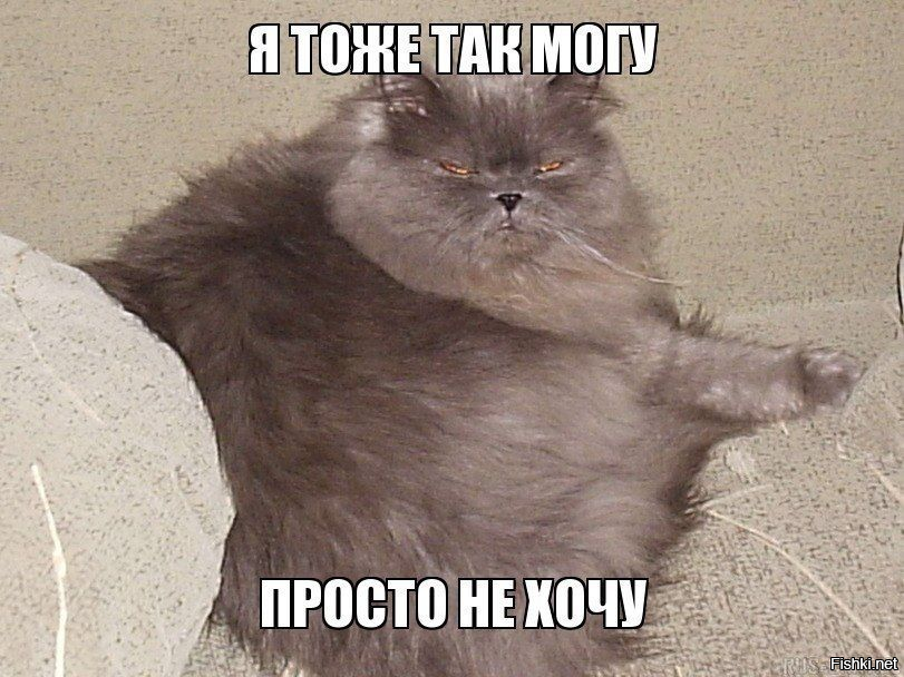 Белка не поняла, как пользоваться беговым колесом