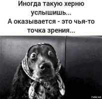 Учёный утверждает, что понимает язык животных