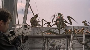 Арахнофобов просим удалиться от экранов: на Бали нашествие огромных пауков