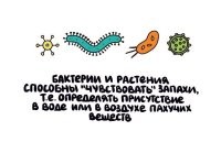 потому что запах это тоже вещества, молекулы
