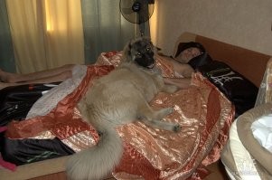 И кстати...
После душа можно всё!