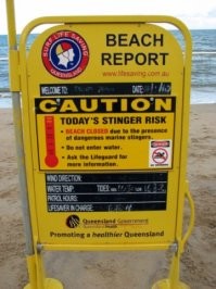 Средняя продолжительность жизни после столкновения в воде с медузой морской осой - 2 минуты.
А стингер-нет по всему Квинслэнду в вэт-сизон ставят ради прикола: