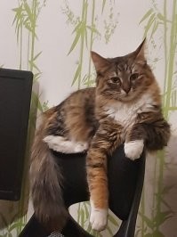 Моя, третья.