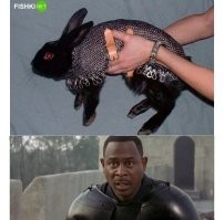 Мемы из соцсетей. Свежак за 2 февраля