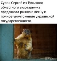Сурок Сергей уверенно предсказывает скорую весну