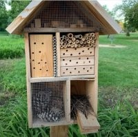 Что-то мне не кажется хорошей идеей разводить короедов,древоточцев и плодожорок..
 Я у себя на даче стараюсь как можно быстрее сжигать всякие сухие ветки и листья.