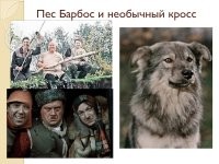 Игривый пёс с горящей петардой устроил панику во дворе