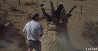 До 5 см? Автор, ты шутишь?
Я в детстве как-то повстречался с медведкой... Успел убежать, а то сожрала бы. Чудом выжил.