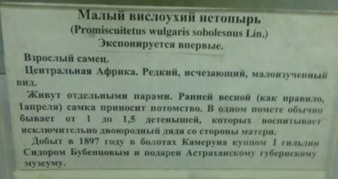 16 животных, которые имеют репутацию cамых несимпатичных существ в природе