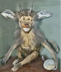 16 животных, которые имеют репутацию cамых несимпатичных существ в природе