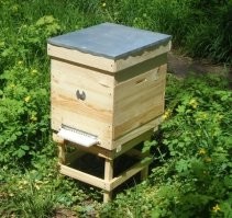 Ващета домик для пчёл по-другому выглядит! Ну а разводить жуков, затея довольно странная.