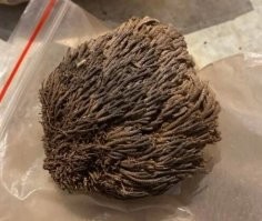 Что же получается, что он слямзил посылочку, если открыв её, не знает, что это такое?