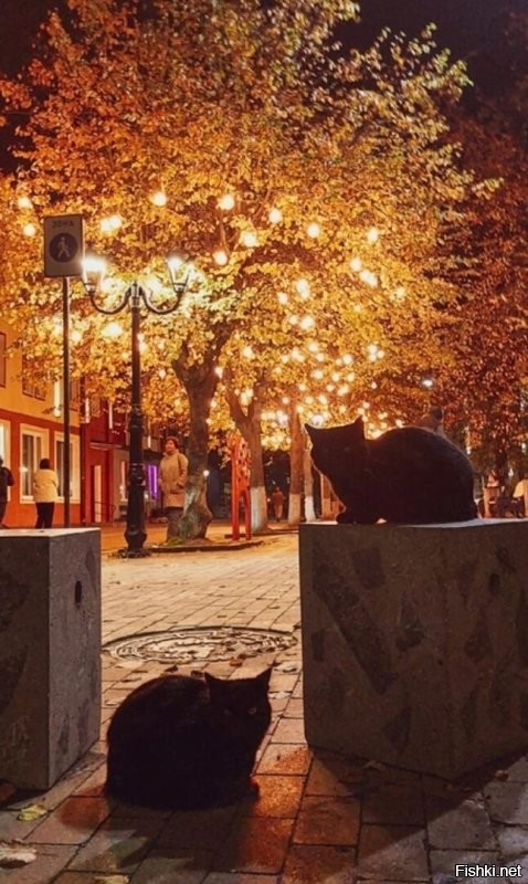 У нас нет. Если какая дура случайно забежит, то ей кирдык быстро наступит. Но крысы далеко не дуры, так что...