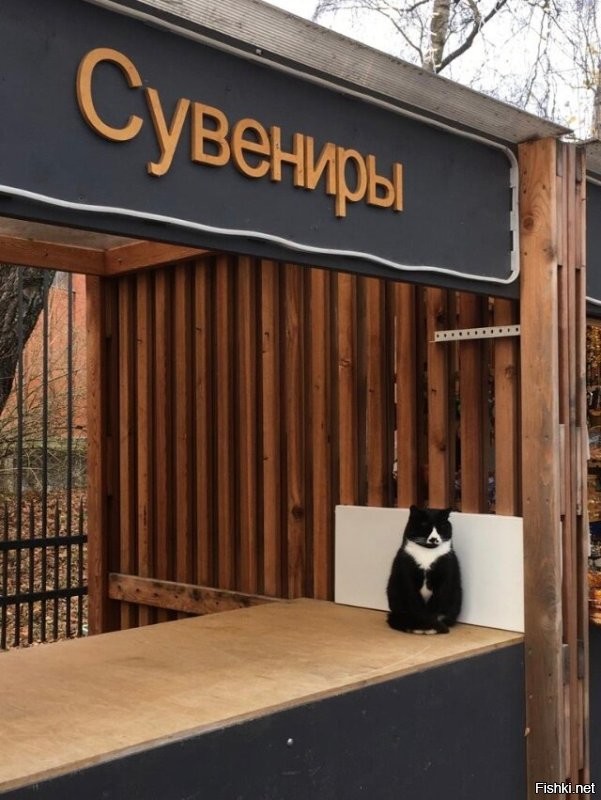 У нас нет. Если какая дура случайно забежит, то ей кирдык быстро наступит. Но крысы далеко не дуры, так что...