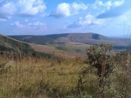 А по этому фото определите местоположение ?