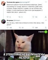 Глупая обладательница писечки решила, что мужик не может обойтись три недели без секса? По себе судит, штоле?